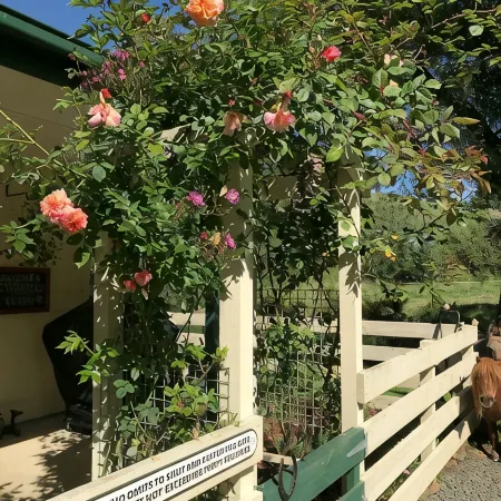 Kymmik Cottage - A slice of Tasmanian paradise
