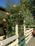 Kymmik Cottage - A slice of Tasmanian paradise