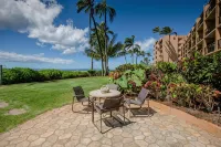Stunning Direct Oceanfront Home on the Beach, AC, Pool, Spa - 3-Star