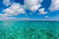 Casual & Comfortable Belize Beach House: Private Pool, Dock, & Secluded Privacy - Homestays