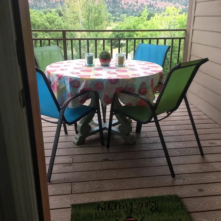 Beautiful Views of Animas Red Cliffs, Immaculate, High End Furnishings