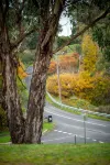 The Loft (fire+spa in centre of Hepburn Springs) - Homestays