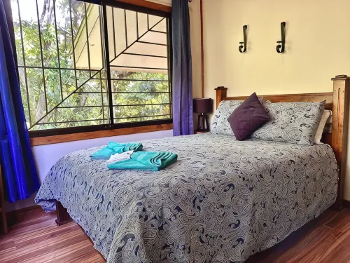 Wake up with Birds in Monteverde - Forest Balcony & Walk to Reserves