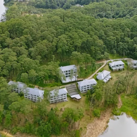 HAVEN IN THE PINES