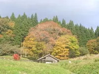 Royal Hajime Hotels in Yabu