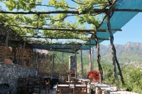 Agriturismo Casa Scola - Farmhouses