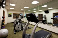 Holiday Inn Express & Suites MONTERREY AEROPUERTO by IHG - Gym