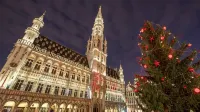 Holiday Inn BRUSSELS - SCHUMAN by IHG - Hot Tub