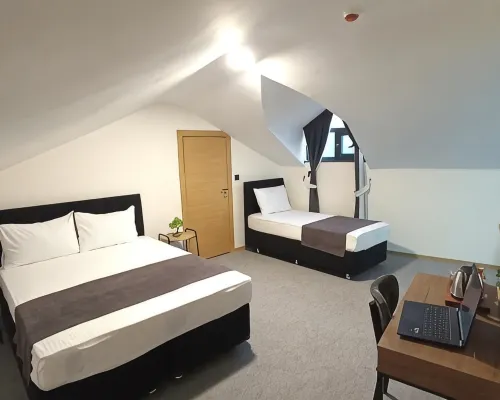 New Green Airport Hotel Photos