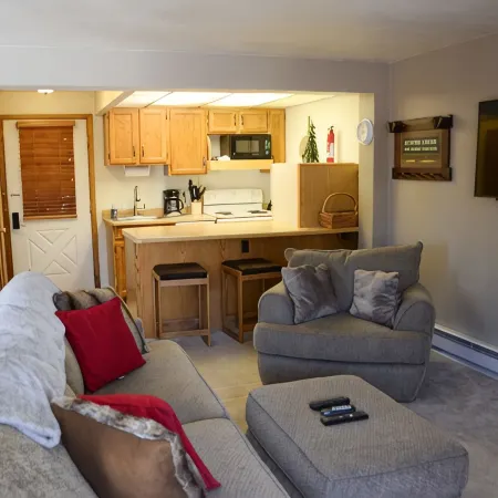 Cozy large studio condo.