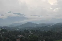 Mount View 11