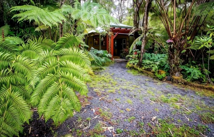 Volcano Mist Cottage