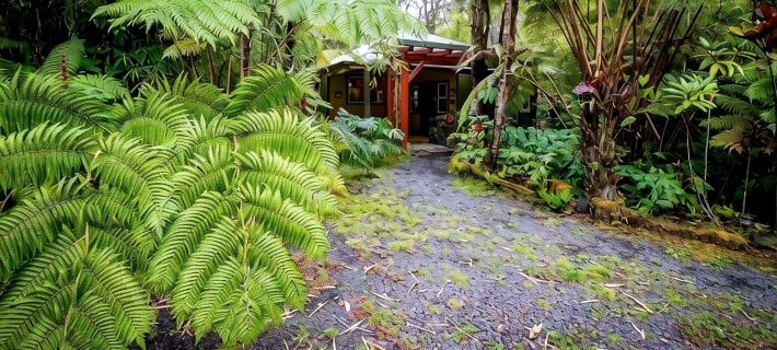 Volcano Mist Cottage Hotels in Volcano