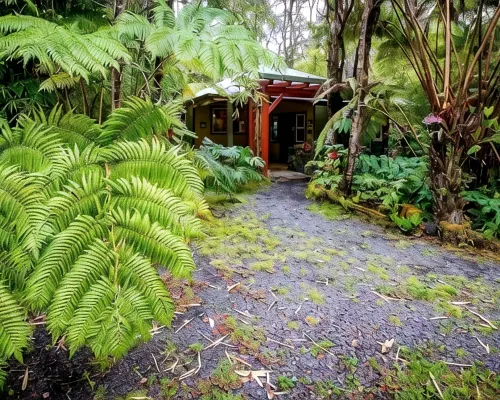 Volcano Mist Cottage فنادق في فولكانو