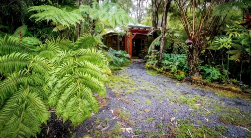 Volcano Mist Cottage