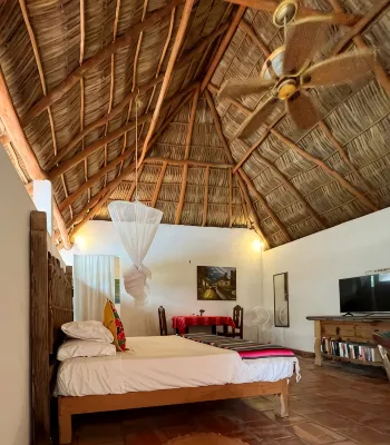 Complimentary 1 hr Massage in our Traditional Open-Air Palapa w/ Private Pool - Condos