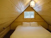 Petite Cabin With Ladder Loft Hotels in Fishhook