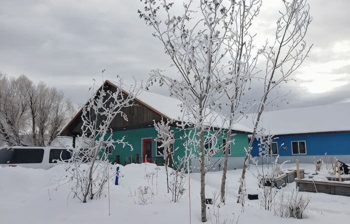Boho Mountain Cottage in the heart of Driggs