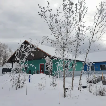 Boho Mountain Cottage in the heart of Driggs