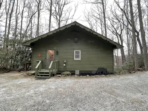 Mountain Resort Cabin with Outdoor Gas Firepit, and Mountain Stream! - WiFi