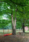 Dog friendly hideaway in Bucks County near River - 4성급