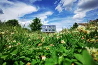 "Brunnenhaus": Stylish vacation home with Mediterranean courtyard and huge garden - Homestays