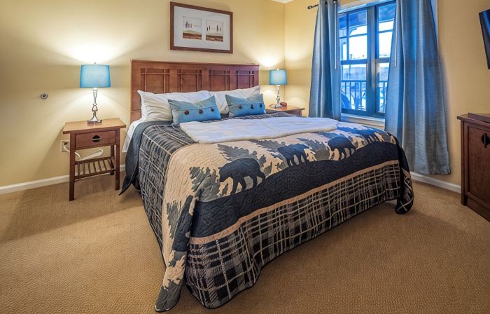 Cozy 1-bedroom condo-Ski in/out/Waterpark/King Bed/WIFI/Parking