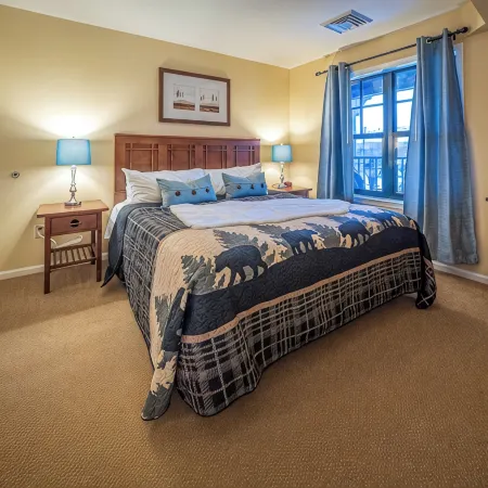 Cozy 1-bedroom condo-Ski in/out/Waterpark/King Bed/WIFI/Parking