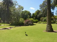 Clifton Motel - parking