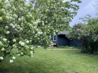 Gorgeous Chippewa Forest and Little Sand Lake @ backyard of this beautiful Cabin - Alppimaja