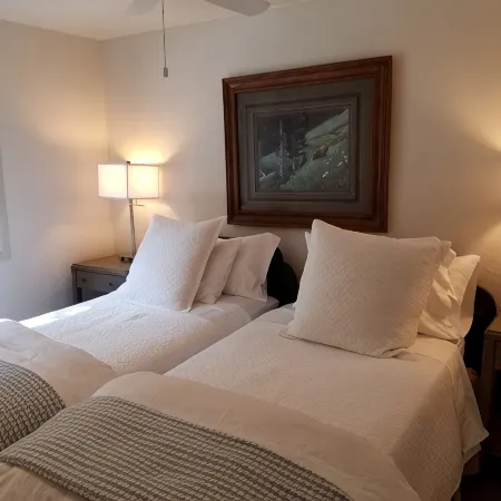 Sonnenblick 6: Ski In, Pool, Hot Tub, In the Heart of Snowmass, No Car Needed