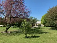 Le Clos Corbier - Champagne Collard-Milesi - Pool