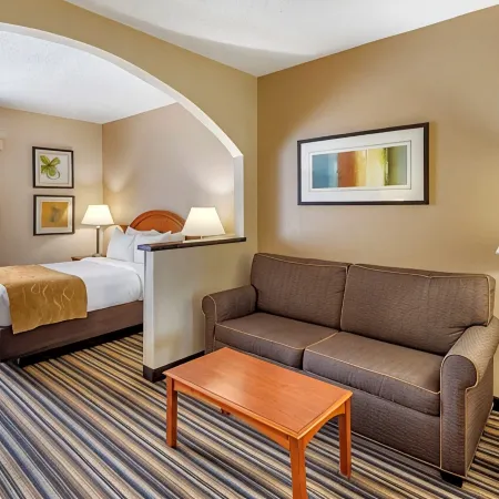 Comfort Suites Chesapeake - Norfolk