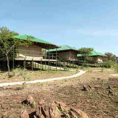 Ikoma Wild Camp Hotel Exterior