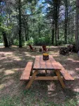 Blue Birch Cabin - Hatfield, WI - Chalets