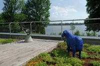 House on the Havelbogen directly on the water with canoe and jetty, terrace apartment - Apartments