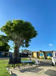 Proserpine Motor Lodge Hôtels à : Proserpine