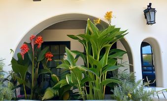 Tide Pool Villas