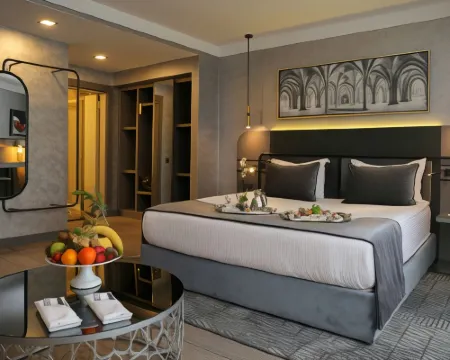 ザ ウィングス ホテルズ ネヴァ パラス アンカラのホテル