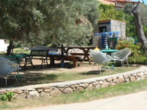 아잘레아 스튜디오