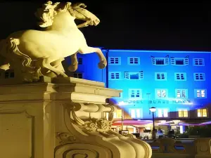 ArtHotel Blaue Gans