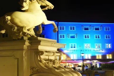 ArtHotel Blaue Gans