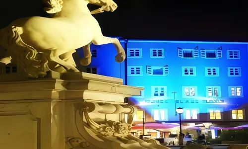 ArtHotel Blaue Gans