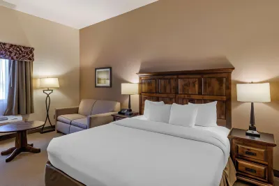 Best Western Brighton Inn Hotels in Brighton