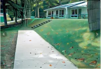 Dixon Lake Resort Motel