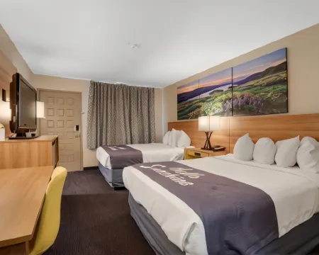 デイズ イン & スイーツ バイ ウィンダム ニードルズ ニードルズのホテル