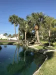 Harbor Towers & Yacht Club racket and