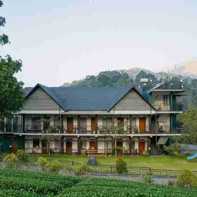 Jungle View Resort Hotel Exterior