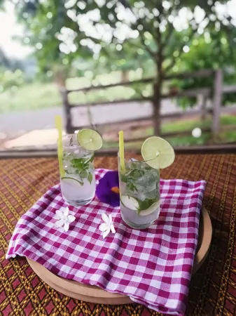 La Villa Hortensia-Mondulkiri Отели в г. Сенмонором