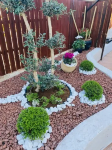 Villa Yotam 4Br Heated Pool וילה יותם 4 חדרי שינה בריכה מחוממת Hotels in 